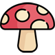 party mushroom capsules